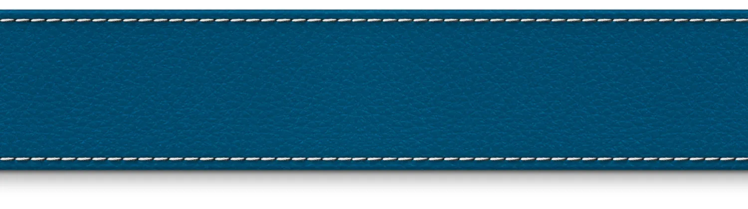 Lederstreifen — Detailausschnitt